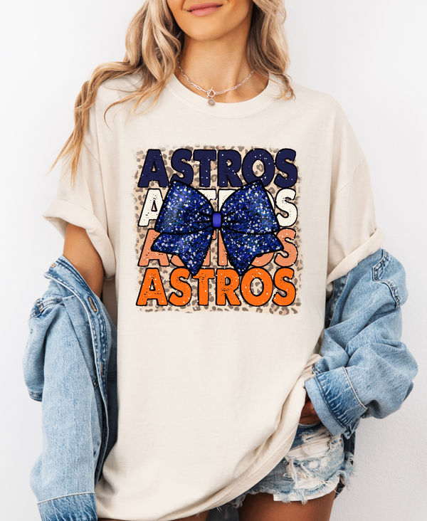 Astros Baseball